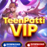 TEEN PATTI VIP