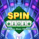 Spin 101